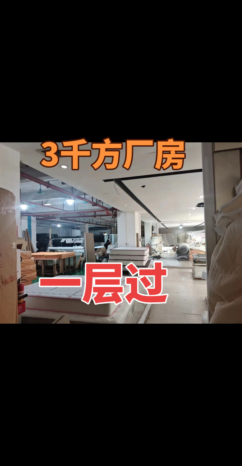 廠房倉庫招租信息咨詢免費的抖音